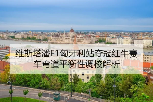 wei-si-ta-pan-xiong-ya-li-zhan-duo-guan-hong-niu-sai-che-wan-dao-ping-heng-xing-diao-xiao-jie-xi-3-108.jpg