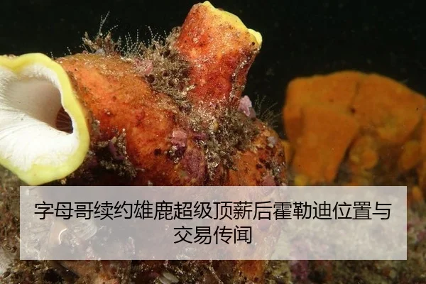 zi-mu-ge-xu-yue-xiong-lu-chao-ji-ding-xin-hou-huo-lei-di-wei-zhi-yu-jiao-yi-chuan-wen-3-366.jpg